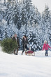 Foto: Österreich, Land Salzburg, Flachau, Blick auf Familienangehörige Weihnachtsbaum und Schlitten im Schnee Österreich, Land Salzburg, Flachau, Blick auf Familienangehörige Weihnachtsbaum und Schlitten im Schnee