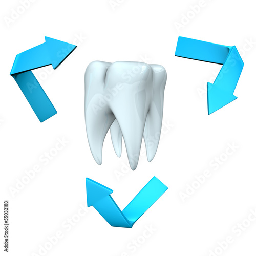 Illustration: Tooth Health Tooth Health