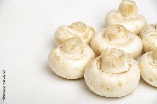 Photo: Mushrooms Mushrooms