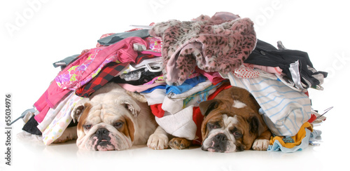 Photo: spring cleaning spring cleaning