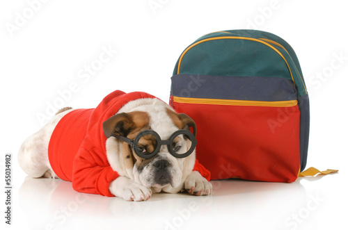 Photo: dog obedience training dog obedience training