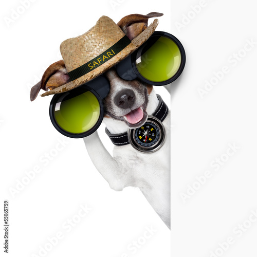 Photo: safari dog safari dog