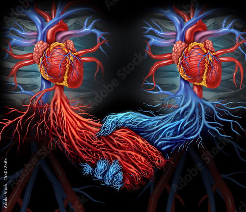 Illustration: Health Agreement Health Agreement