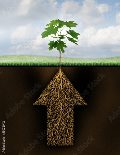 Illustration: Root Of Success Root Of Success