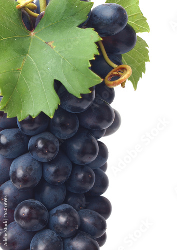 Photo: Grape fruit Grape fruit