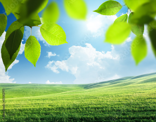 Photo: spring sunny background spring sunny background