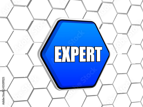 Illustration: expert in blue hexagon expert in blue hexagon