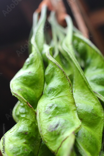 Photo: Stink bean Stink bean