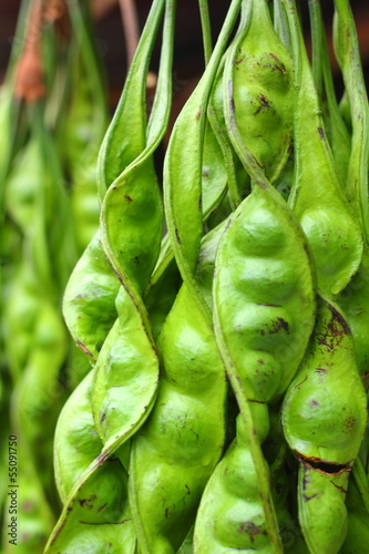 Photo: Stink bean Stink bean