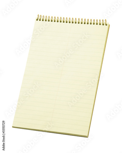 Photo: Stenographer's Lined Notepad Stenographer's Lined Notepad
