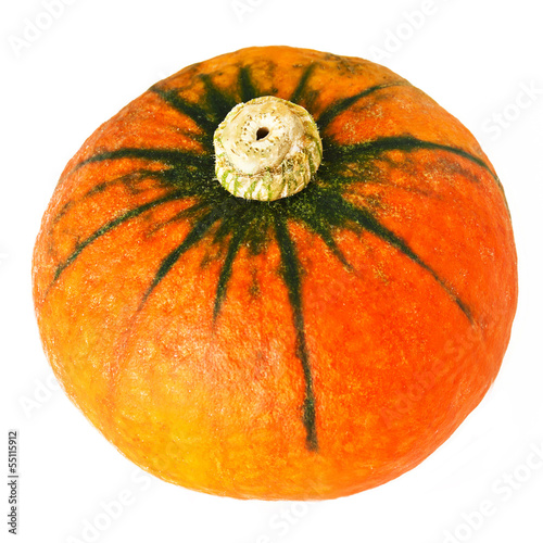 Photo: Pumpkin Pumpkin