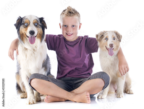 Photo: australian shepherds and boy australian shepherds and boy