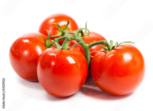 Photo: Closeup of tomatoes on the vine isolated on white. Tomato branch Closeup of tomatoes on the vine isolated on white. Tomato branch