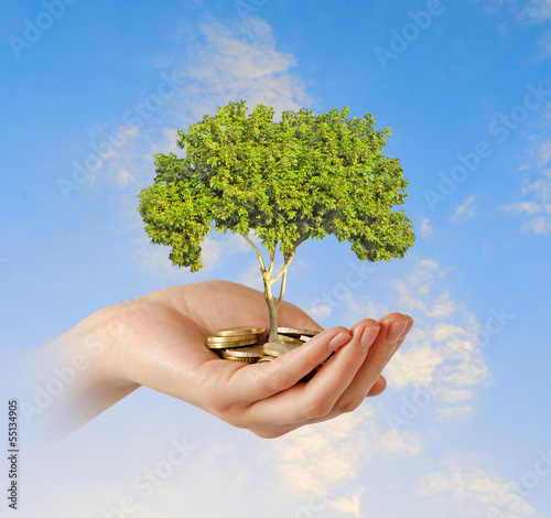 Photo: Investing to green business Investing to green business