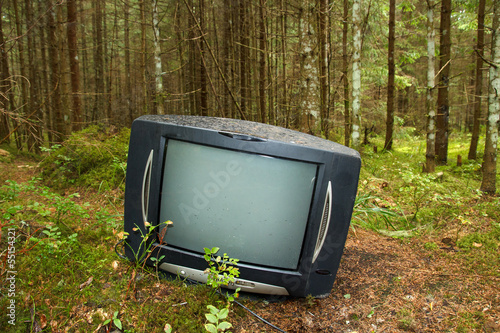 Photo: old TV in the forest old TV in the forest