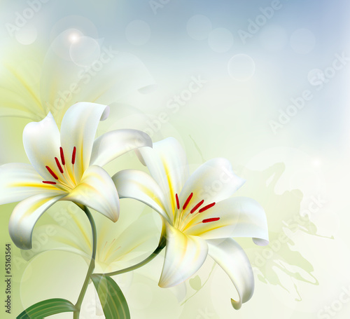 Vector: Holiday background with two white lilies. Vector. Holiday background with two white lilies. Vector.