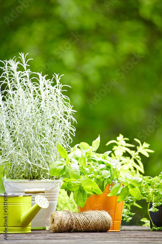 Photo: Outdoor gardening tools Outdoor gardening tools