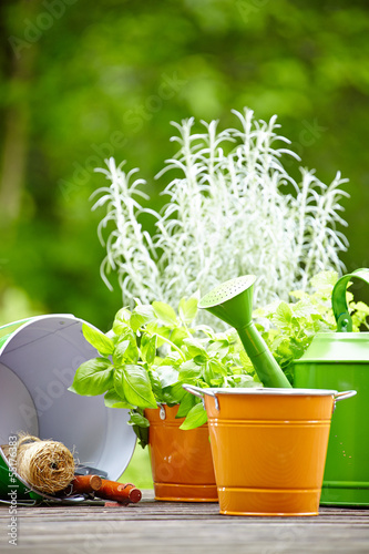 Photo: Outdoor gardening tools Outdoor gardening tools