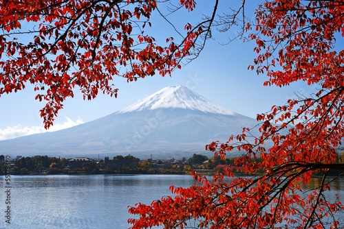 Photo: Mt. Fuji in the Autumn Mt. Fuji in the Autumn