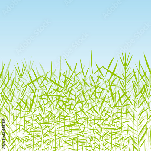 Vector: Grass, reed and wild plants detailed silhouettes illustration ba Grass, reed and wild plants detailed silhouettes illustration ba