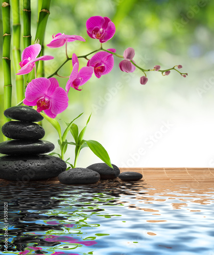 Photo: composition bamboo-purple orchid-black stones composition bamboo-purple orchid-black stones