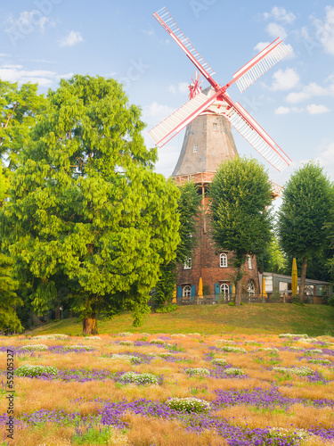 Photo: Summer in Bremen Summer in Bremen