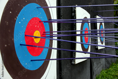 Photo: Target archery and Many arrow. Target archery and Many arrow.