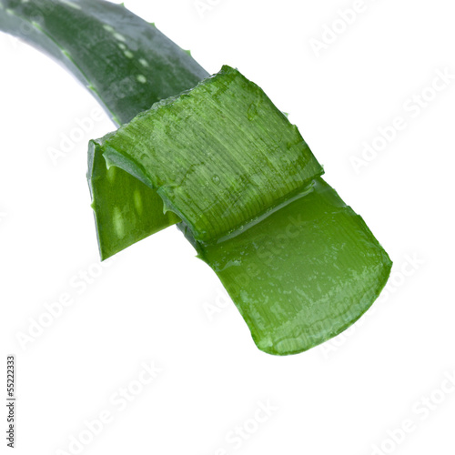 Photo: aloe vera leaf cut aloe vera leaf cut