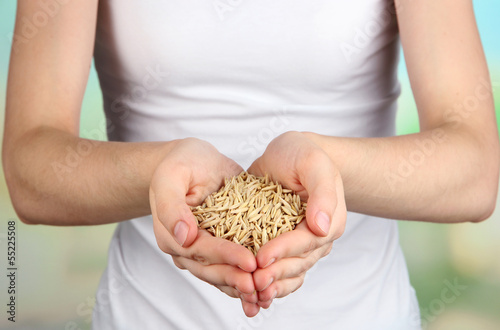 Photo: Wheat grain in female hands on natural background Wheat grain in female hands on natural background