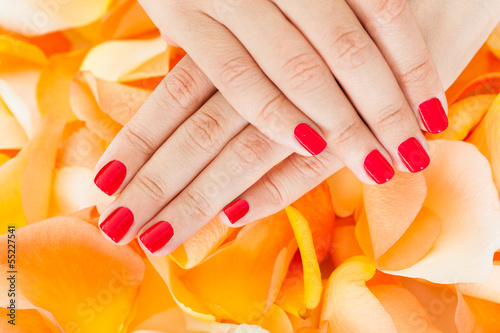 Photo: Female Hand Holding Flowers Female Hand Holding Flowers