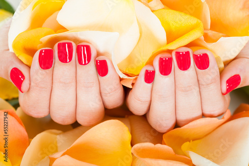 Photo: Female Hand Holding Flowers Female Hand Holding Flowers
