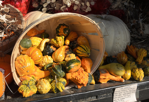 Photo: Decorative gourds Decorative gourds