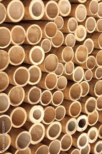 Bamboo wall in Gili Islands