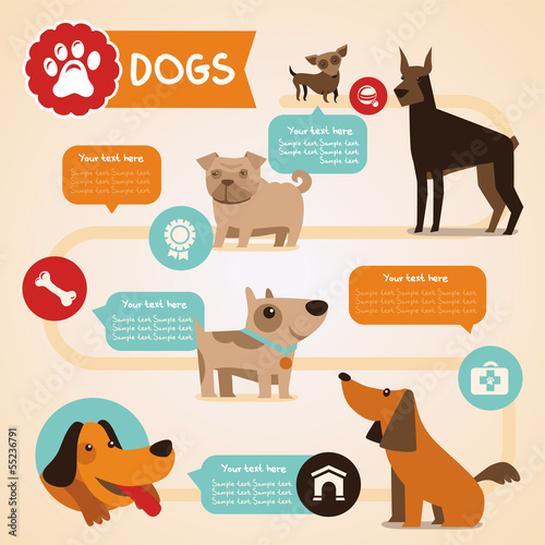 Vector: Vector set of infographics design elements - dogs Vector set of infographics design elements - dogs