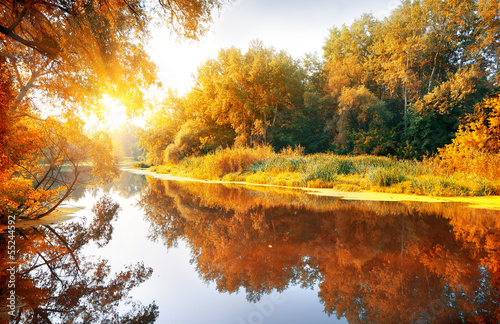 Fototapeta River in a delightful autumn forest