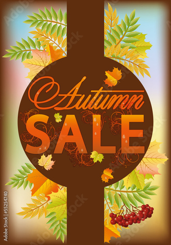 Vector: Autumn sale banner, vector illustration Autumn sale banner, vector illustration