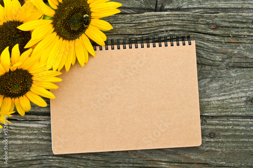 Photo: sunflowers sunflowers