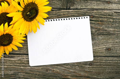Photo: sunflowers sunflowers