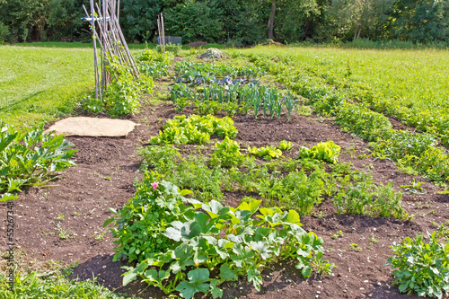 Photo: Gemüsegarten Gemüsegarten