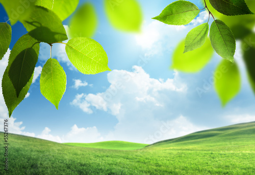 Photo: spring sunny background spring sunny background