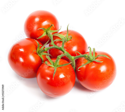 Photo: Closeup of tomatoes on the vine isolated on white. Tomato branch Closeup of tomatoes on the vine isolated on white. Tomato branch