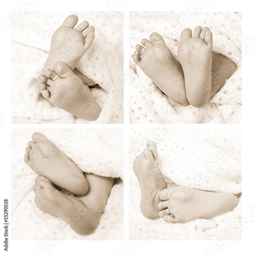 Photo: newborn baby feet collage newborn baby feet collage