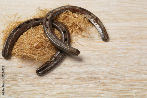 Photo: Hufeisen im Stroh Hufeisen im Stroh