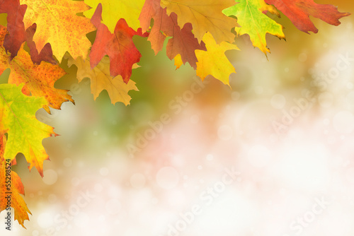 Photo: Herbst 35 Herbst 35