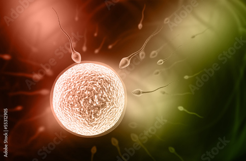Illustration: sperm sperm