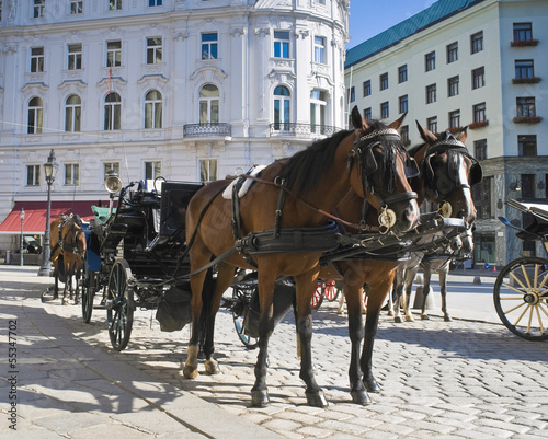 Photo: Spanish Riding School, Vienna Spanish Riding School, Vienna