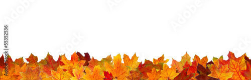 Photo: Seamless pattern of red maple autumn leaves. Seamless pattern of red maple autumn leaves.