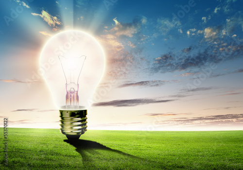 Illustration: Light bulb and nature Light bulb and nature