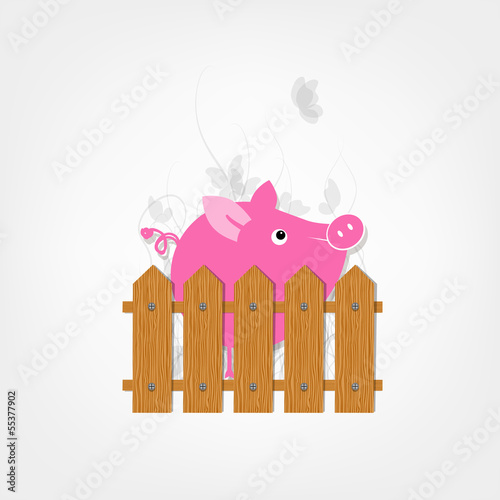 Vector: Funny pig behind wooden fence of garden for your design Funny pig behind wooden fence of garden for your design