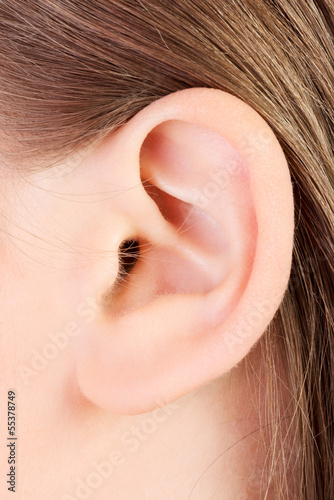 Photo: Ear Ear